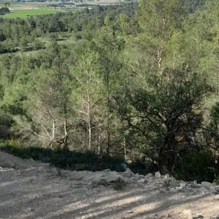 B&B Entre Canal Et Garrigue Roubia