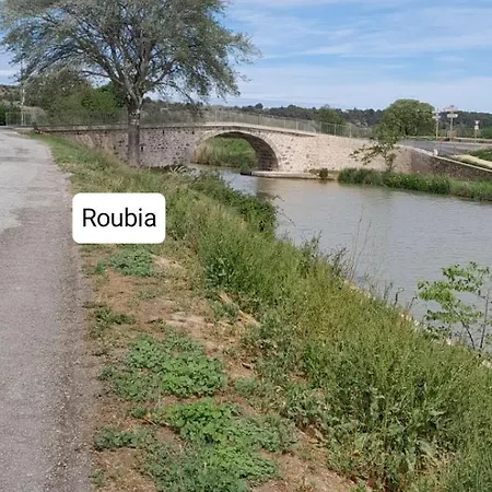 Entre Canal Et Garrigue 3* Roubia