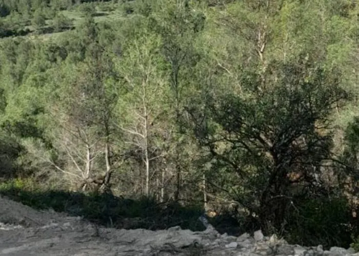 Bed and Breakfast Entre Canal Et Garrigue Roubia